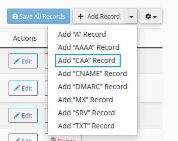 Chọn Add CAA Record.