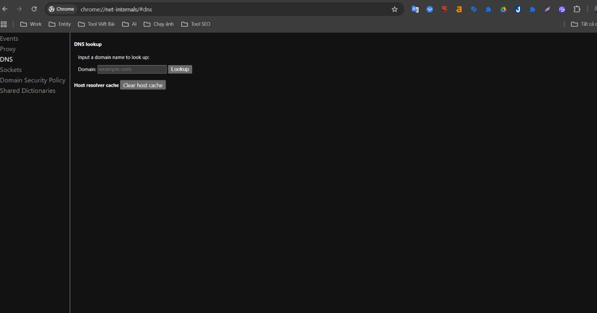 Nhấp vào nút Clear host cache