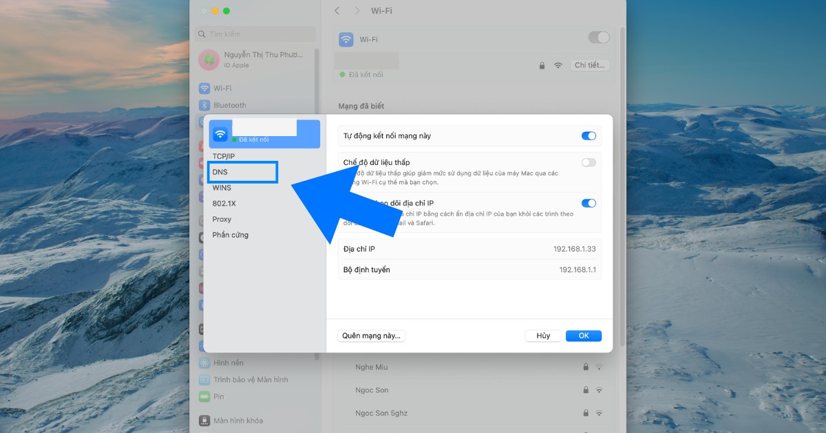 Bạn hãy chuyển qua tab DNS
