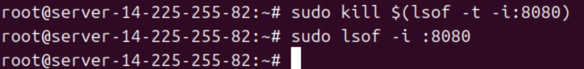 Hướng dẫn xử lý lỗi Port Already In Use trên Linux và Windows hiệu quả 20 Bạn cần sử dụng lệnh sudo kill $(lsof -t -i:8080)