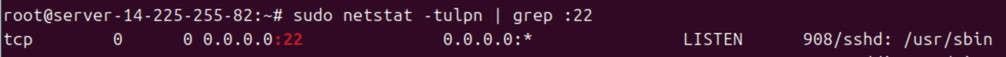 Hướng dẫn xử lý lỗi Port Already In Use trên Linux và Windows hiệu quả 21 Kết quả khi sử dụng lệnh sudo netstat -tulpn | grep :22