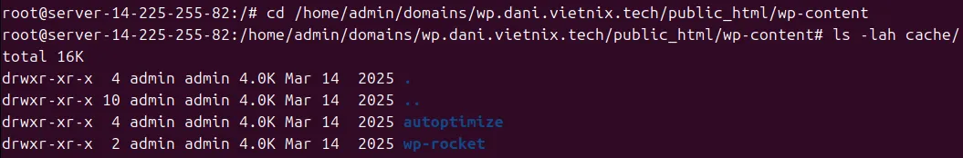 Kiểm tra thư mục cache
