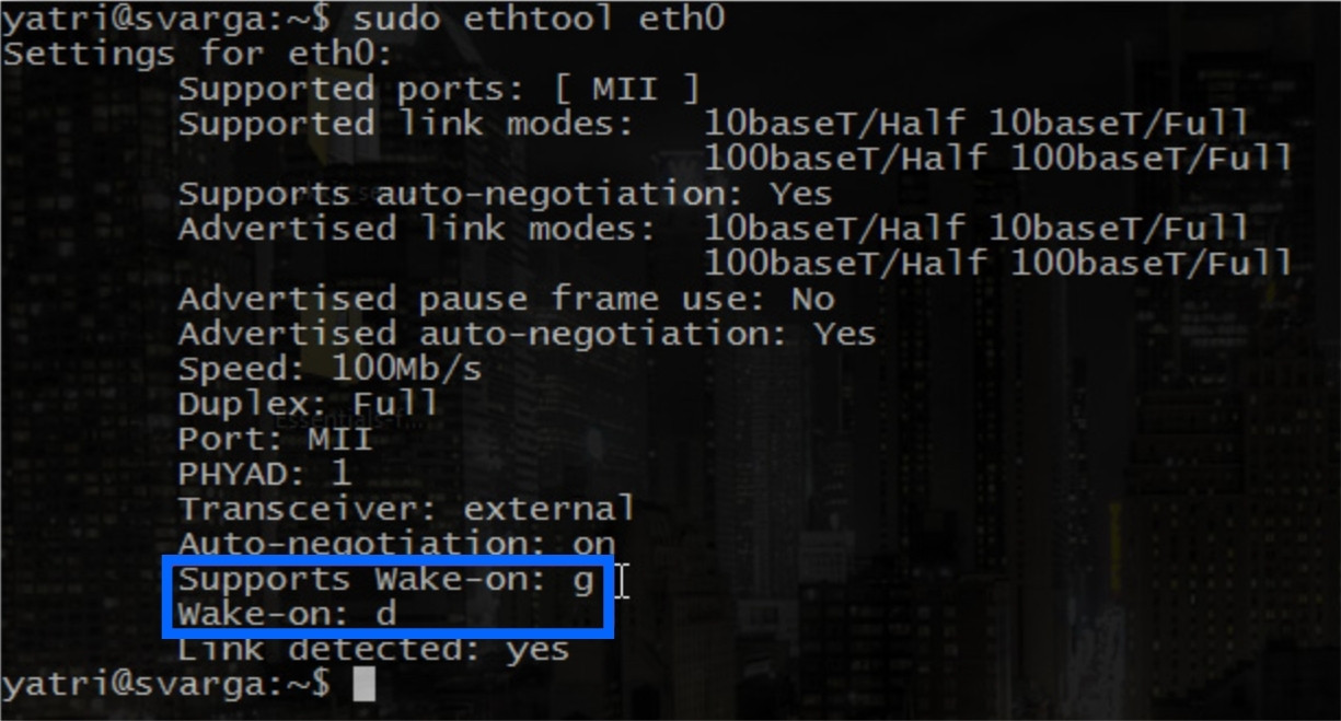 Trong dòng Supports Wake-on có ký tự g, thiết bị của bạn hỗ trợ WOL