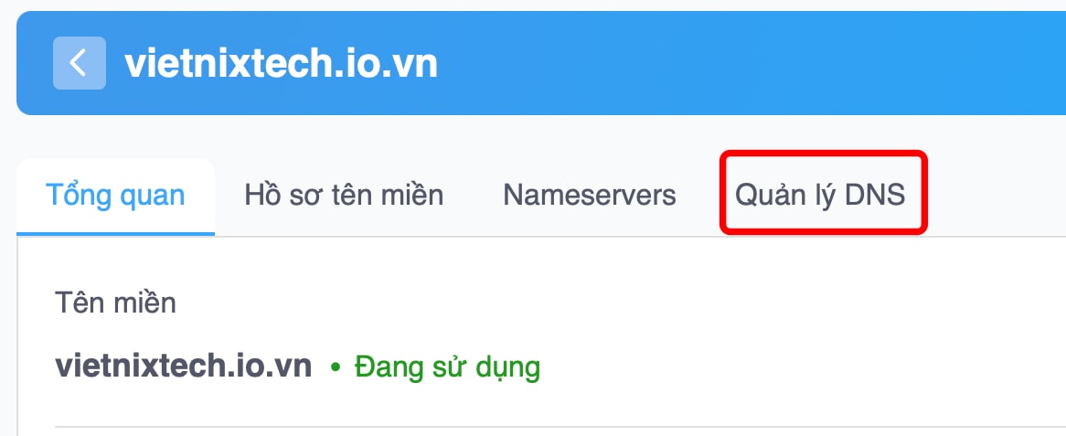 MX Record là gì? Hướng dẫn cấu hình và kiểm tra chi tiết từ A đến Z 27 Chọn Quản lý DNS