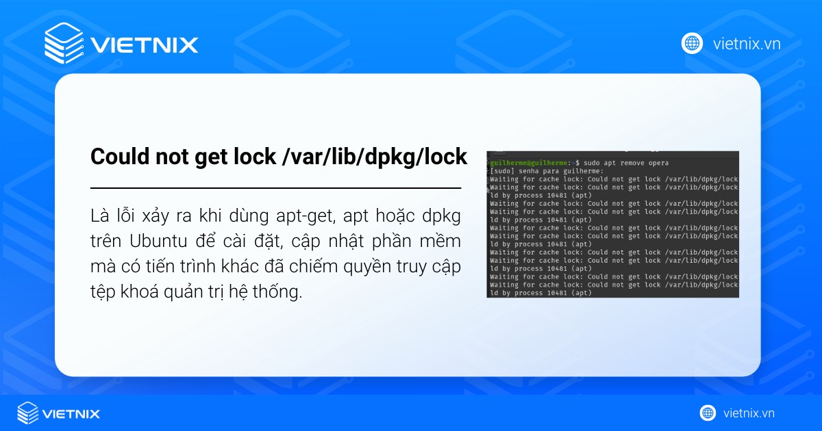 Lỗi could not get lock /var/lib/dpkg/lock thường xảy ra trên Ubuntu