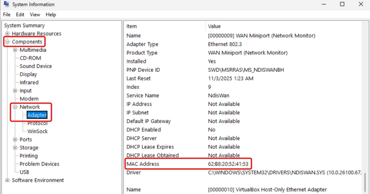 Địa chỉ MAC của các card mạng sẽ hiện ở dòng MAC Address