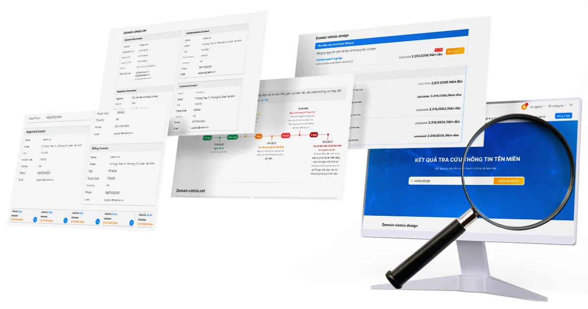 giao diện kiểm tra tên miền tại Vietnix