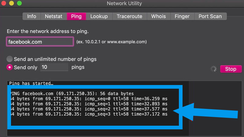 Sử dụng Network Utility