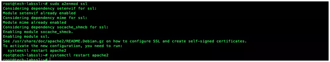 Zero SSL là gì? Có an toàn không? Cách lấy SSL miễn phí 141 Kích hoạt Module SSL