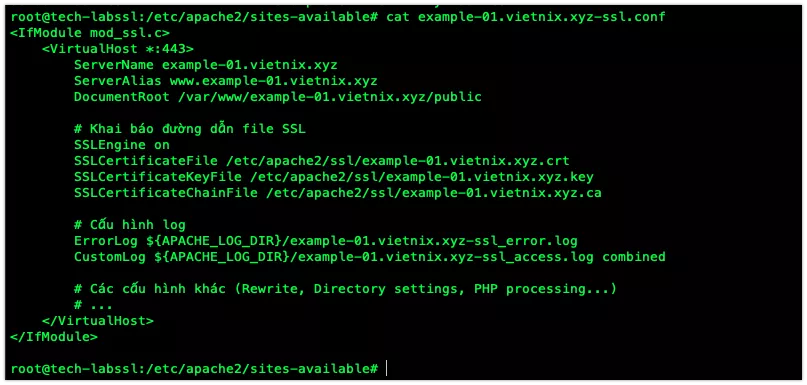 Zero SSL là gì? Có an toàn không? Cách lấy SSL miễn phí 142 Cấu hình Virtual Host SSL