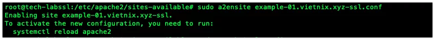 Zero SSL là gì? Có an toàn không? Cách lấy SSL miễn phí 144 Kích hoạt vhost mới