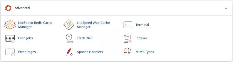 Hướng dẫn chi tiết cách chạy Nodejs trên hosting 24 Truy cập vào Terminal