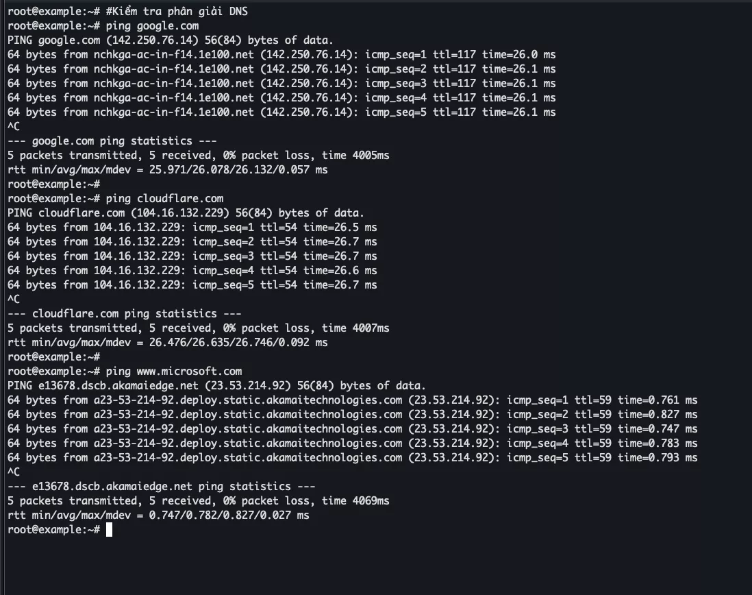 Cách đổi domain trên VPS dùng template n8n chi tiết nhất 21 Kiểm tra phân giải DNS