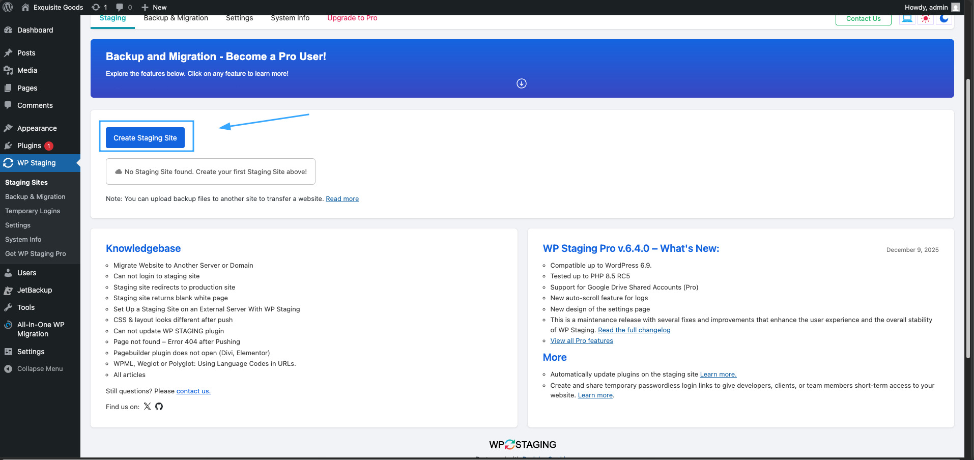 Hướng dẫn đổi tên thư mục wp-content trong WordPress chi tiết 21 Tạo bản sao website trên cùng hosting hoặc subdomain