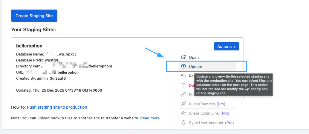 Hướng dẫn đổi tên thư mục wp-content trong WordPress chi tiết 22 Chọn Update để áp dụng quy trình lên site thật