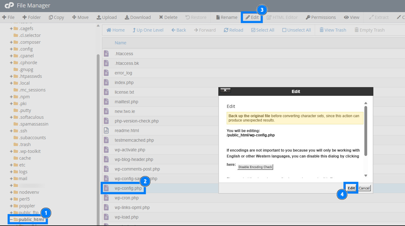 Chọn Edit để thêm các dòng cấu hình debug