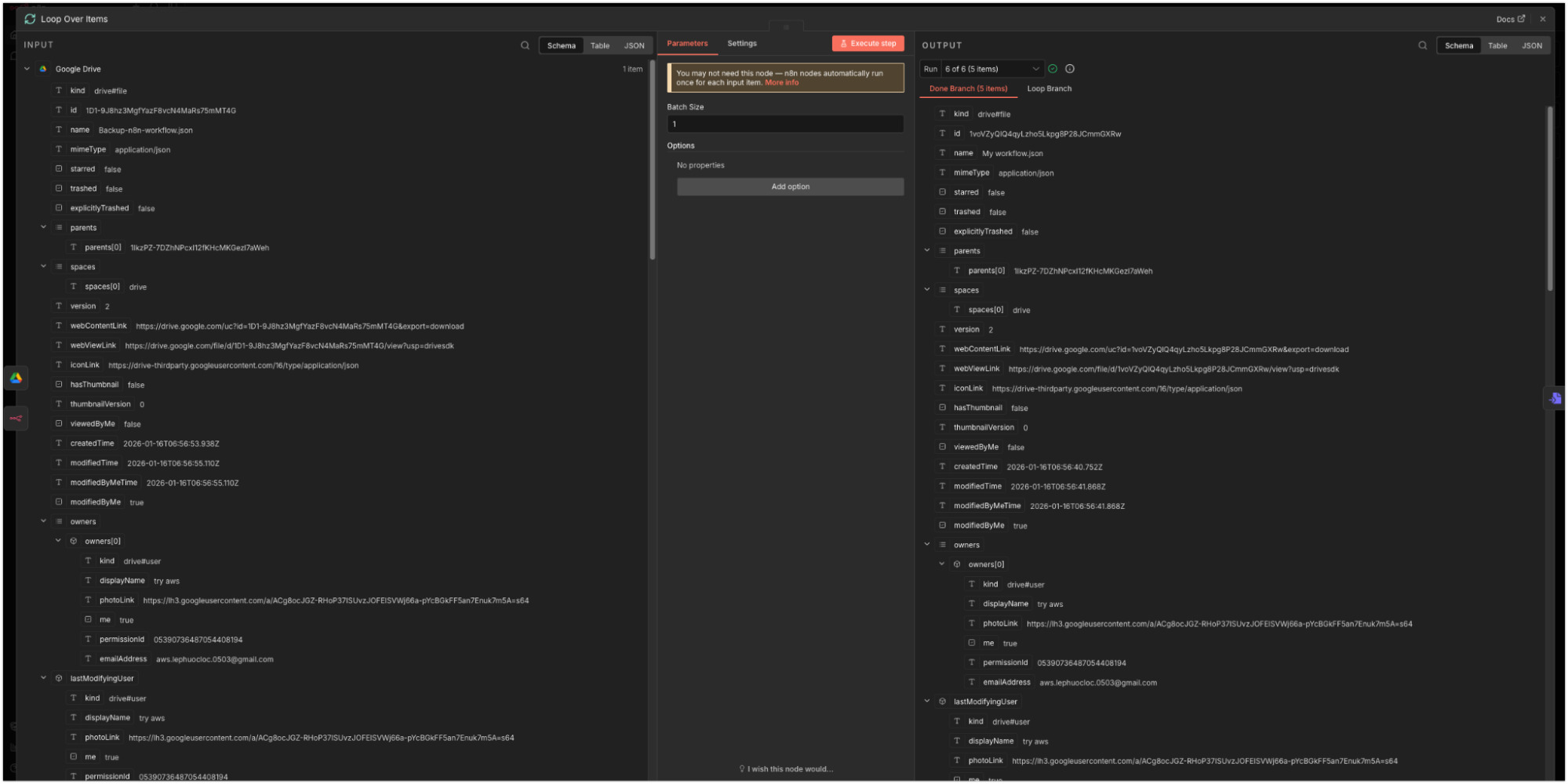 Input và Output của Loop Over Items