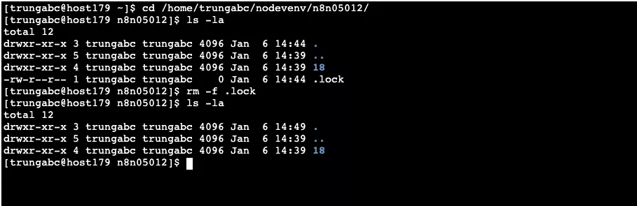 Xóa file .lock qua SSH/Terminal