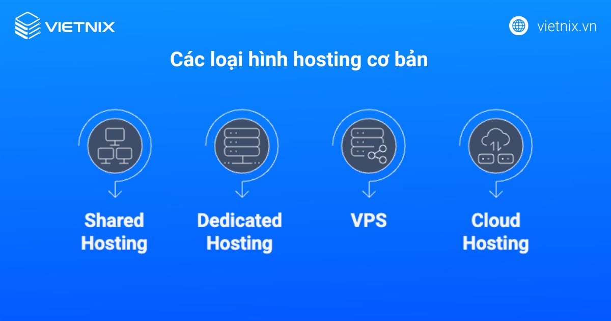 Các loại hình hosting cơ bản