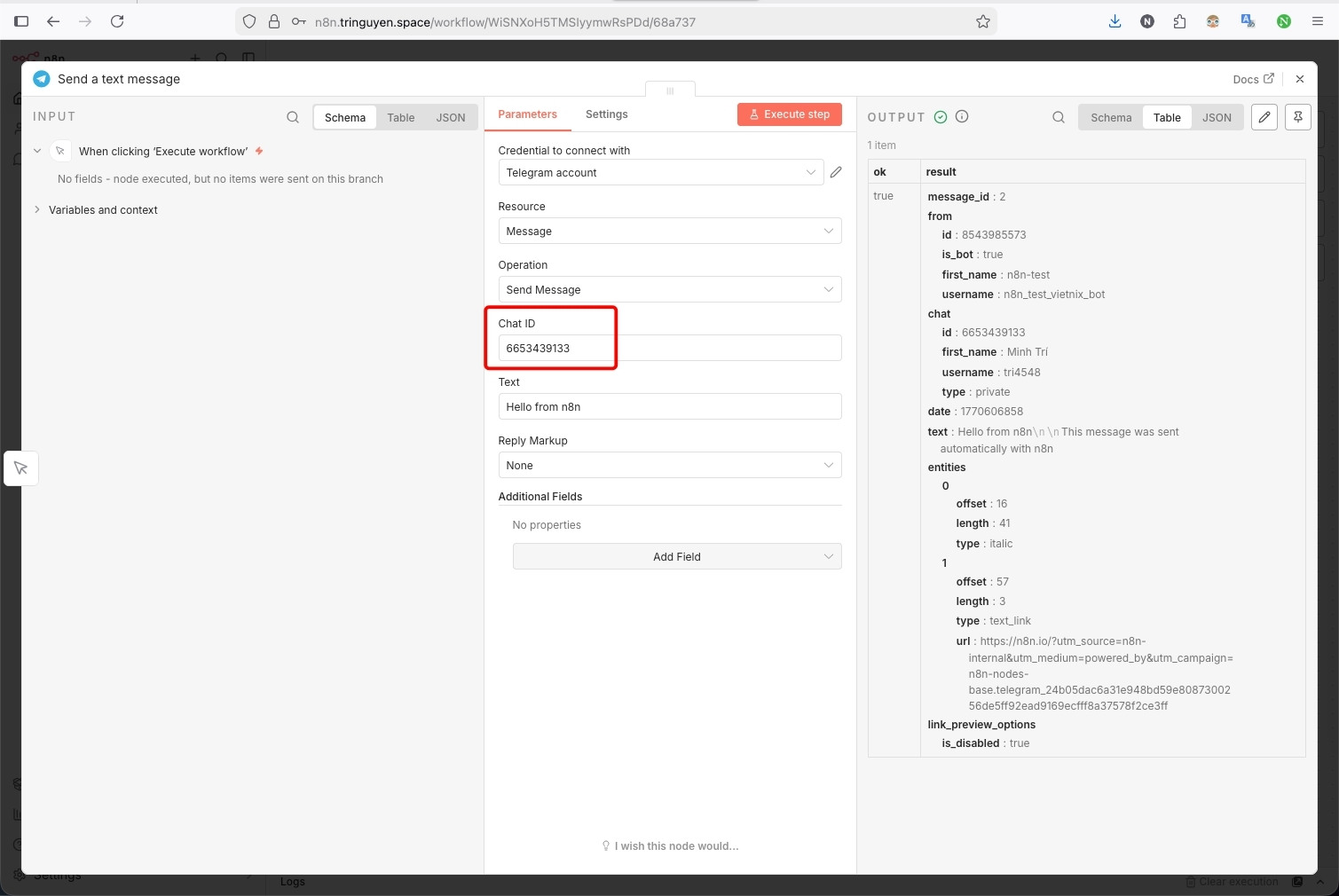 Tại trường Chat ID thì bạn cần dán đoạn ID của mình vào