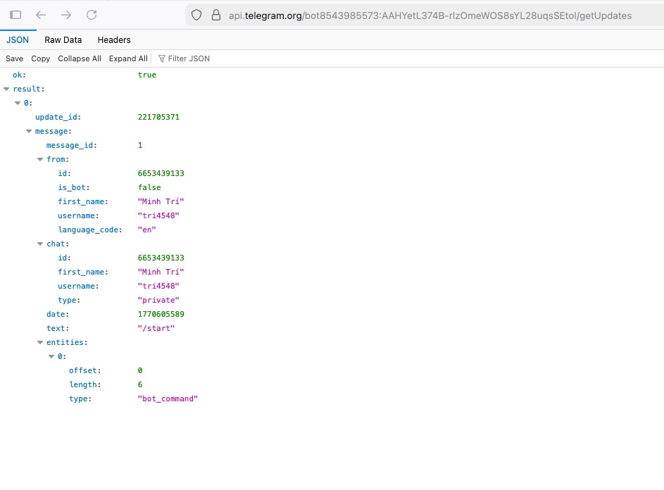 Đoạn mã JSON được hệ thống trả về cho bạn