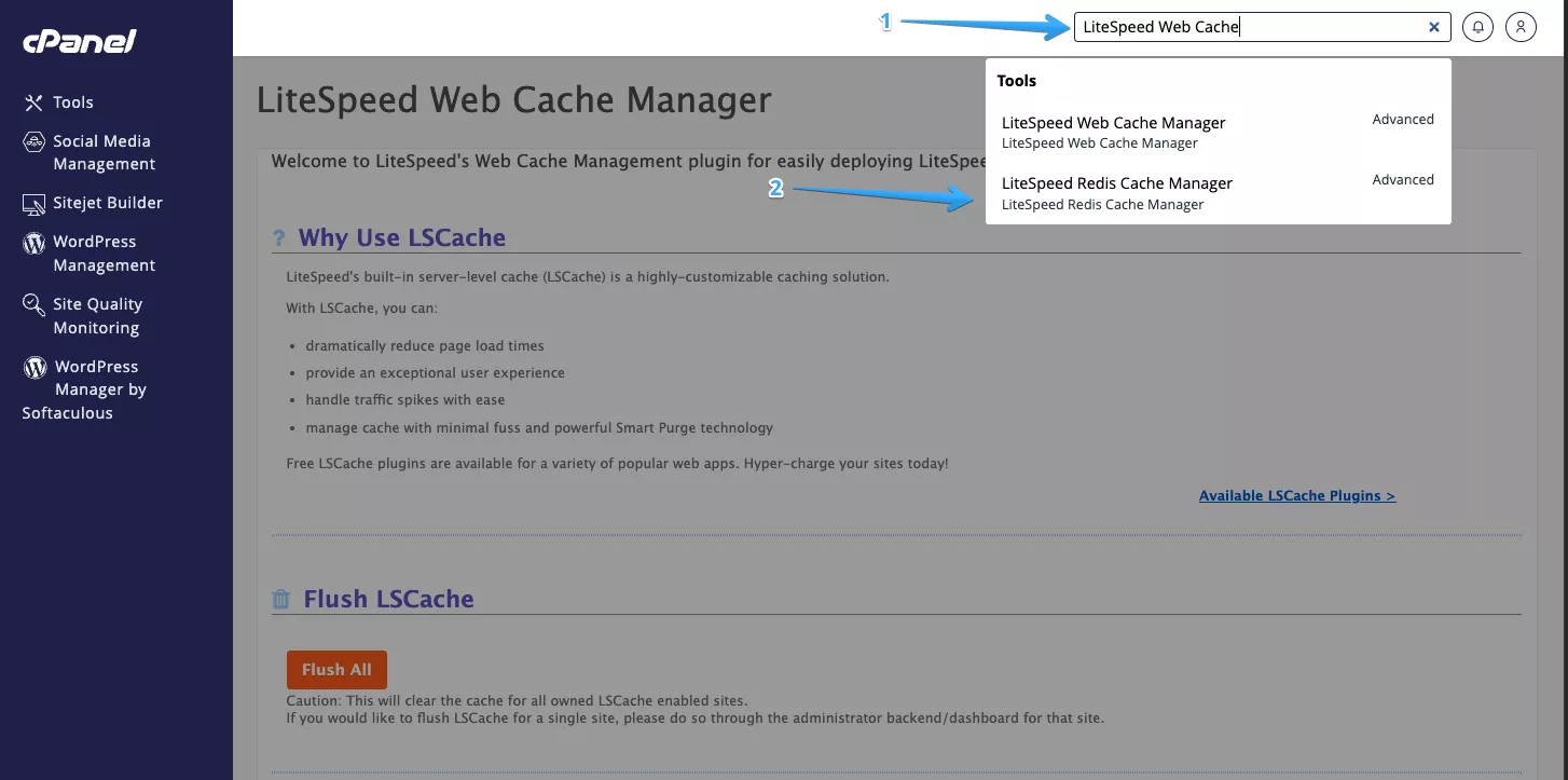 Vị trí LiteSpeed Cache Manager trong cPanel