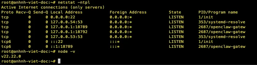 Hướng dẫn cài đặt OpenClaw với Claude Code và Gemini 3 chi tiết cho người mới 18 Cài đặt OpenClaw
